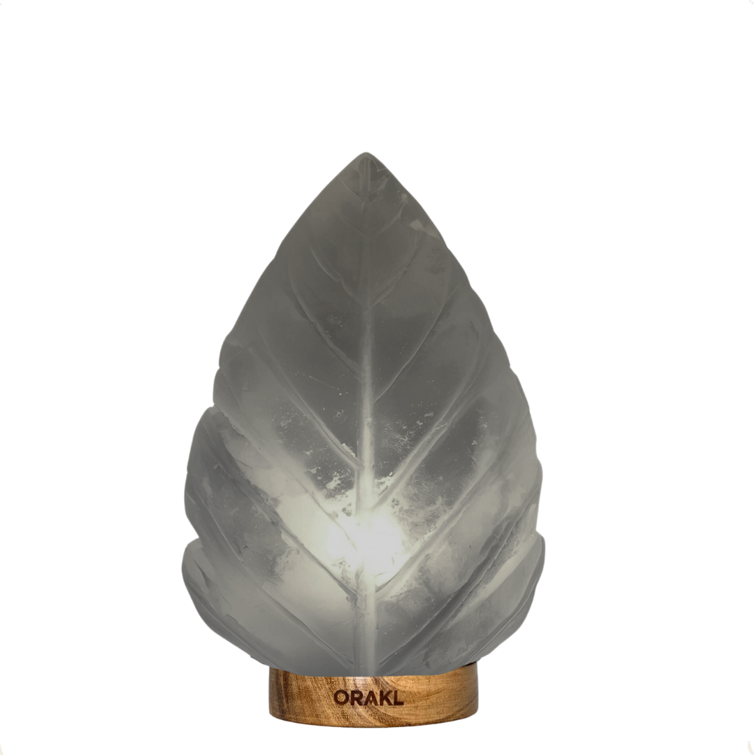 Lampe de sel de l'Himalaya à intensité variable - Feuille - 3-4 kg