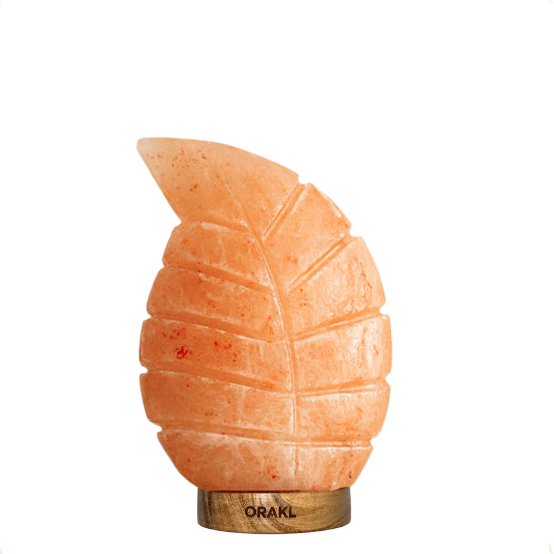 Dimbare Himalaya zoutlamp Leaf - 3-4 KG