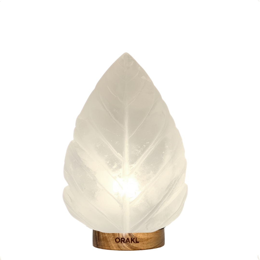 Lampe de sel de l'Himalaya à intensité variable - Feuille - 3-4 kg