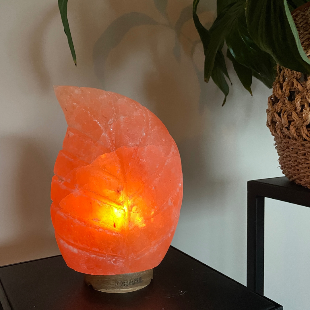 Dimmbare Himalaya-Salzlampe Blatt - 3-4 kg