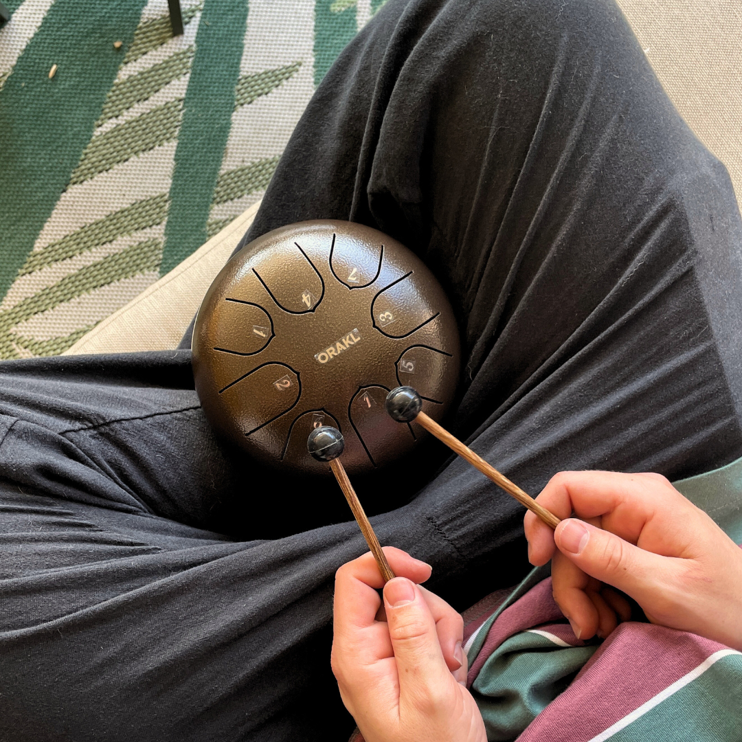 Steel Tongue Drum Echo - Zonbrons