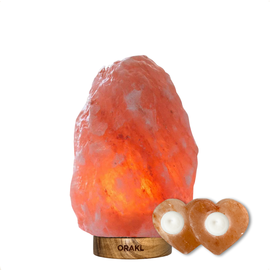 Zen starter set Cupido - 2-4 KG
