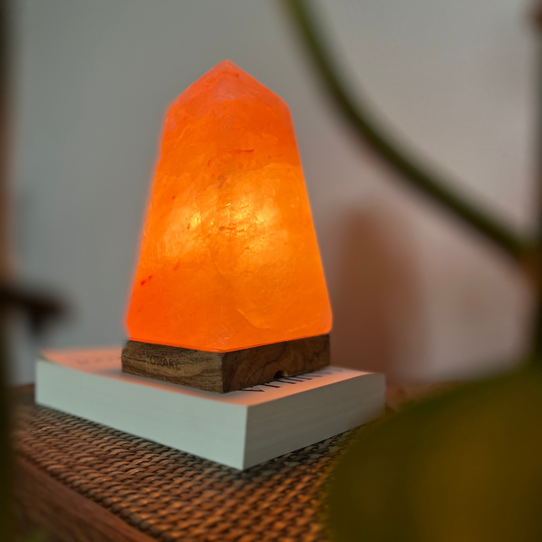 Lampe de sel de l'Himalaya à intensité variable Obelisk - 3-4 KG