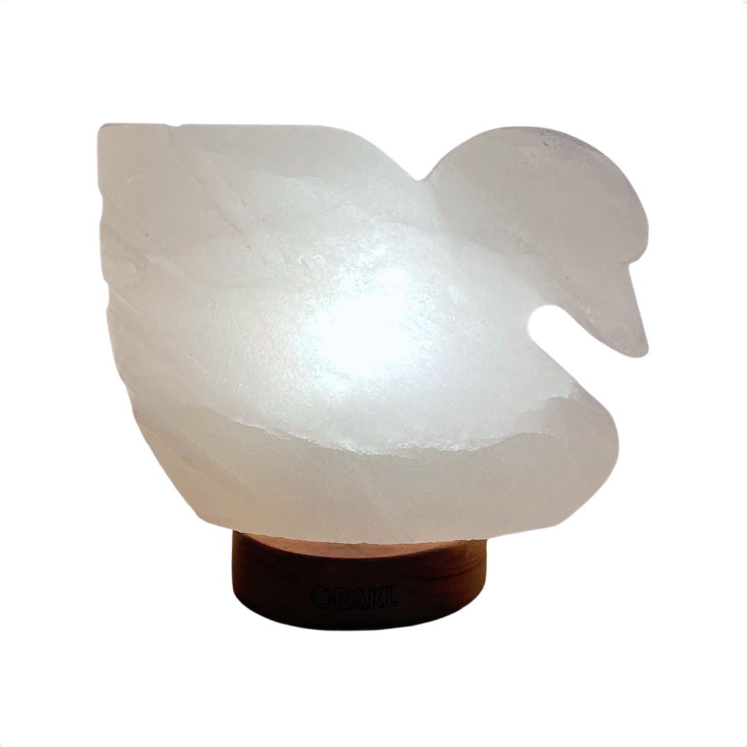Dimmbare Himalaya-Salzlampe Grace - 3-4 KG