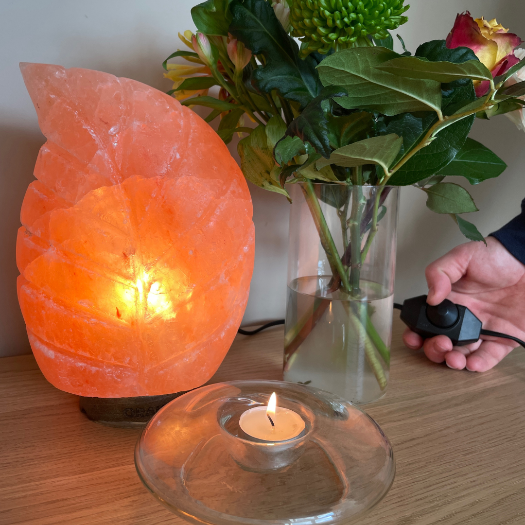 Dimmbare Himalaya-Salzlampe Blatt - 3-4 kg